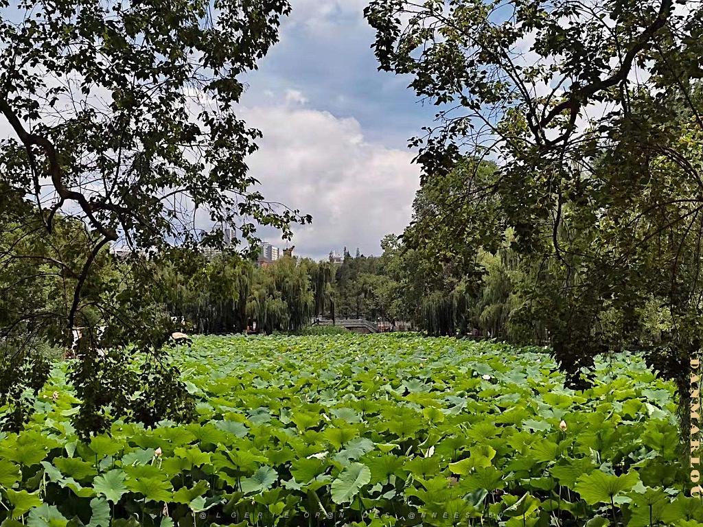 Kunming - Parc Cuihu - 50.jpg